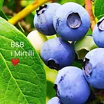 I Mirtilli 3* Pianezze