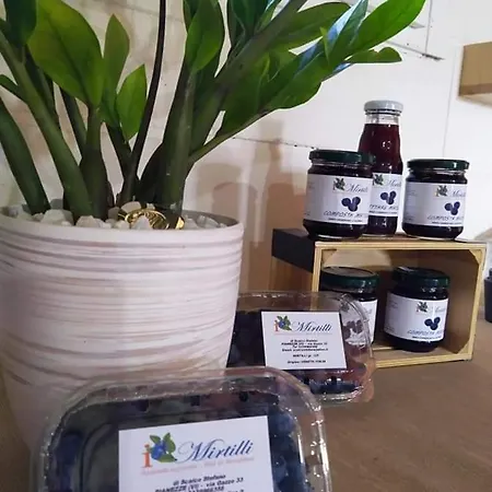 I Mirtilli Bed & Breakfast