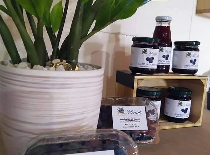 I Mirtilli Bed & Breakfast