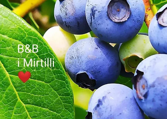 I Mirtilli 3* Pianezze