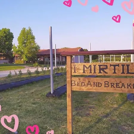 I Mirtilli