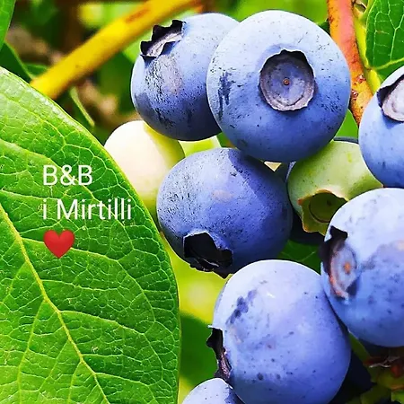 I Mirtilli * Pianezze